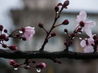 Καιρός – Έκτακτο δελτίο επιδείνωσης: «Βάλτε το αρνί νωρίς!» – Καταιγίδες την Κυριακή του Πάσχα (16/4)